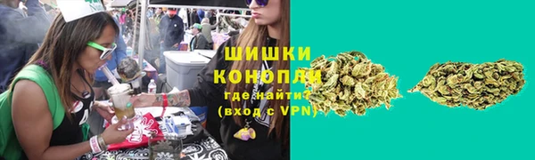 крисы Богородск