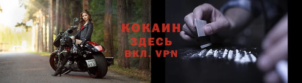 apvp Белокуриха
