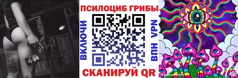 Псилоцибиновые грибы Psilocybine cubensis  Белёв 